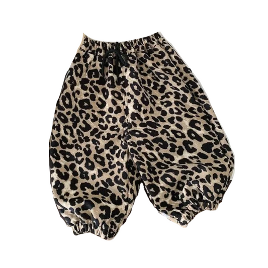 レオパードジョガーパンツ  wrw24aw100